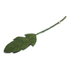 Gry & Sif Leaf Big- Dark Green