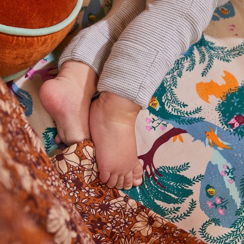 Sage x Clare Jarvis Cotton Fitted Sheet- Single